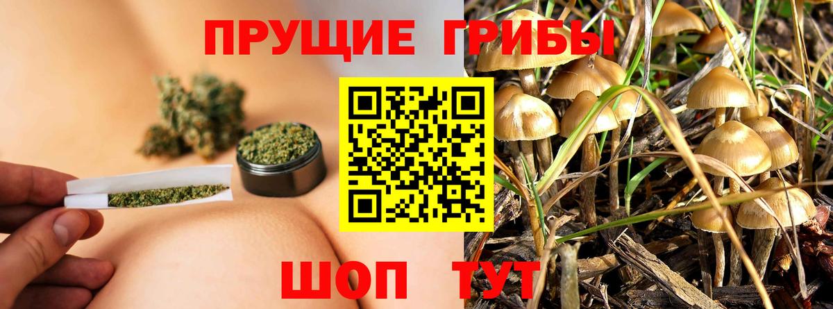 Бузулук  Галлюциногенные грибы мухоморы  Вход с VPN 